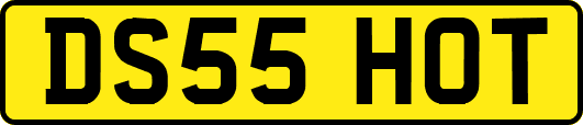 DS55HOT