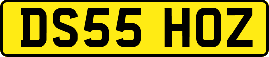 DS55HOZ
