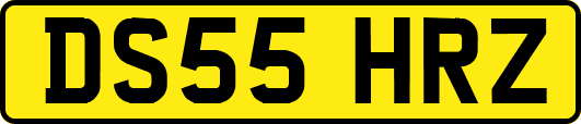 DS55HRZ
