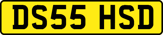 DS55HSD