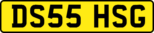 DS55HSG