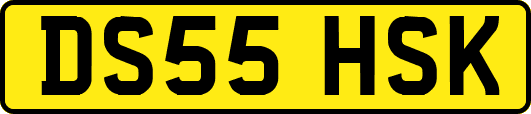 DS55HSK