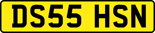DS55HSN