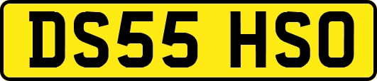 DS55HSO
