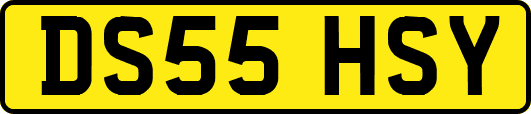 DS55HSY