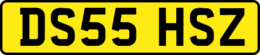 DS55HSZ