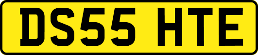 DS55HTE