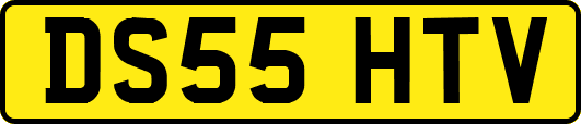 DS55HTV