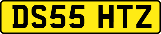 DS55HTZ