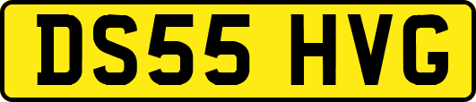 DS55HVG