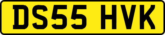 DS55HVK