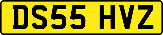 DS55HVZ