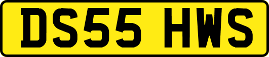 DS55HWS