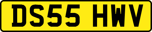 DS55HWV