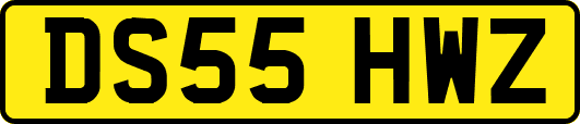 DS55HWZ