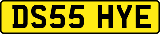 DS55HYE