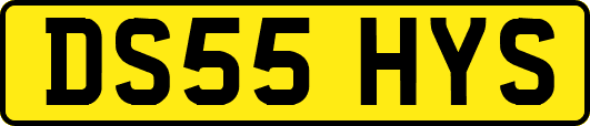 DS55HYS