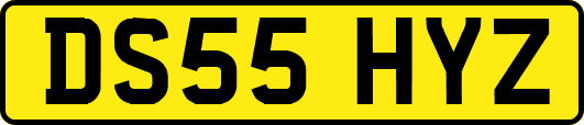 DS55HYZ