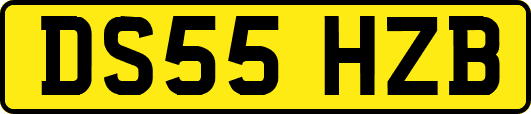 DS55HZB