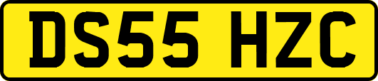 DS55HZC