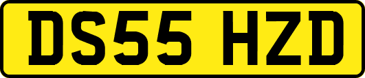 DS55HZD