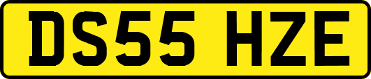 DS55HZE