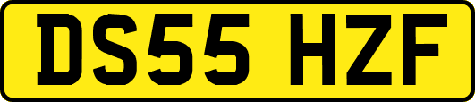 DS55HZF