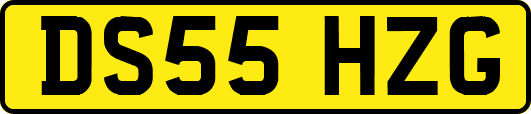 DS55HZG