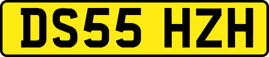 DS55HZH
