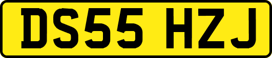 DS55HZJ