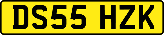 DS55HZK
