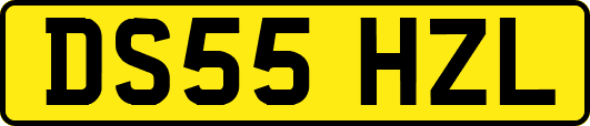 DS55HZL