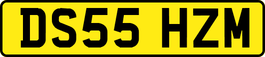 DS55HZM