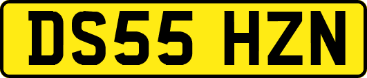 DS55HZN