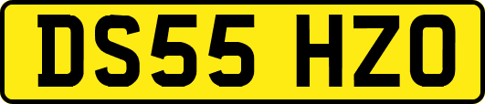 DS55HZO
