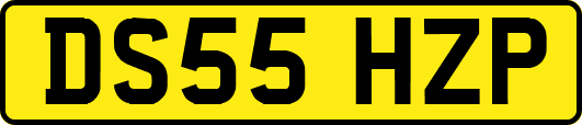 DS55HZP