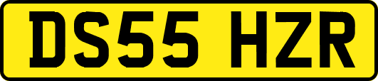 DS55HZR