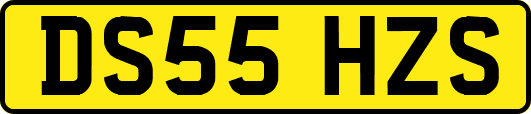 DS55HZS