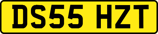 DS55HZT