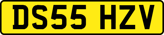 DS55HZV