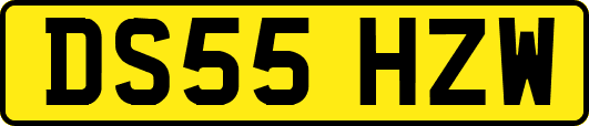 DS55HZW