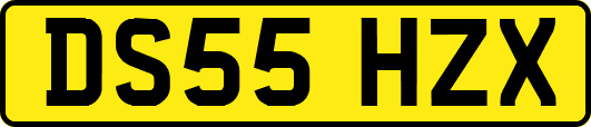 DS55HZX