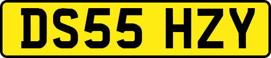 DS55HZY
