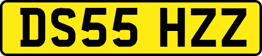 DS55HZZ