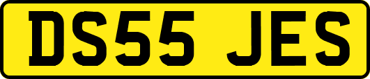 DS55JES