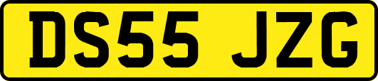 DS55JZG