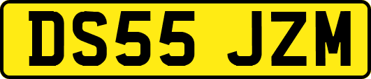 DS55JZM