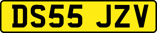 DS55JZV