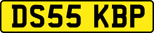 DS55KBP