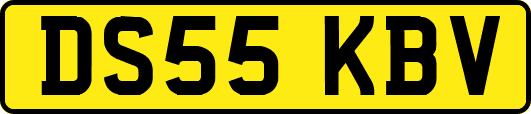 DS55KBV
